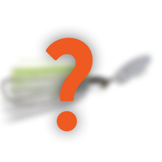 Mystery Lure Inside