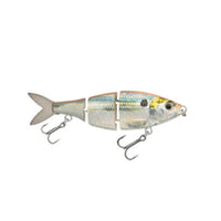 Swimbait