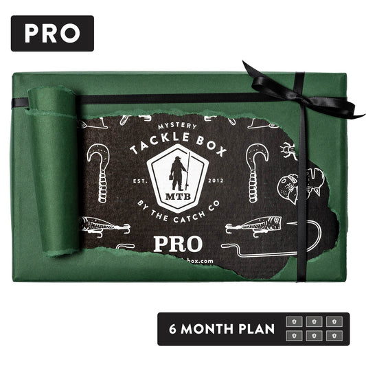 Pro Gift Credit | 6 Month