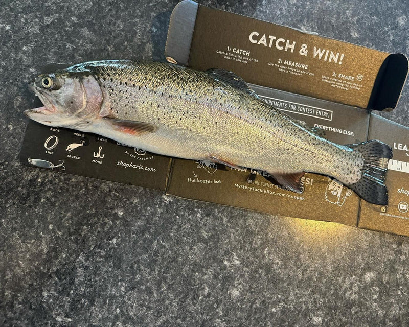What a Father's Day gift
