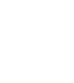 Mystery Tackle Box
