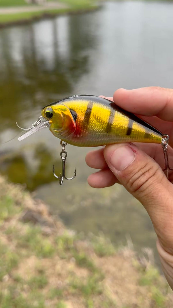 MTB Bass Pro Unboxing